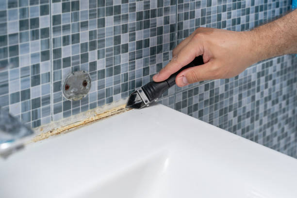 Best Toxic Mold Removal  in Knoxvle, IL
